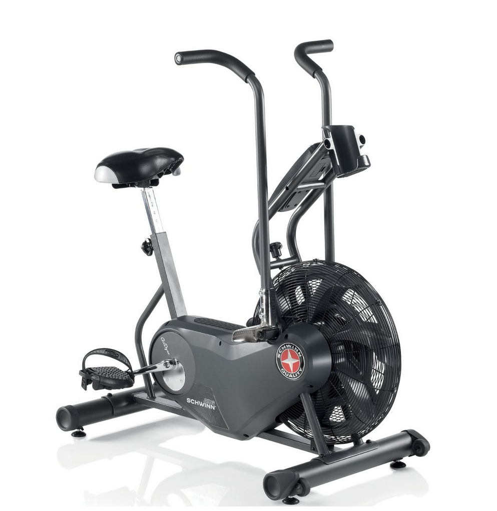 Schwinn AD6 Airdyne Exercise Bike (Black)