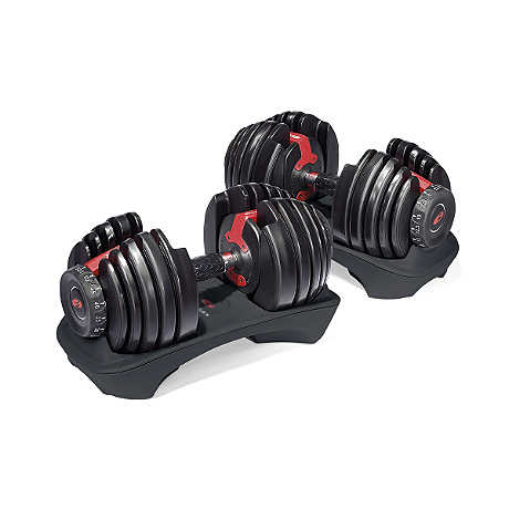 bowflex selecttech 552 dumbells